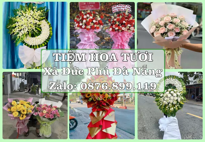 Shop hoa tươi tại Xã Đức Phú Đà Nẵng – Hoa xinh, trái cây cho những dịp gần gũi · ảnh 1