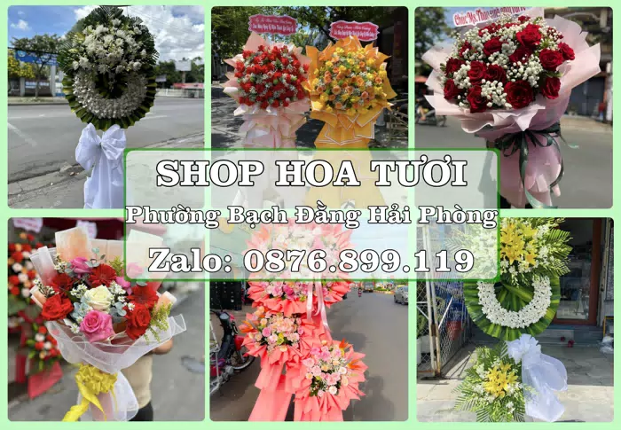 Shop hoa tươi tại Phường Bạch Đằng Hải Phòng – Chuẩn bị hoa và quà cho dịp sắp tới · ảnh 1