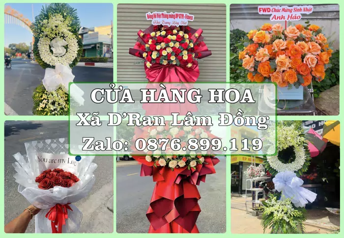Shop hoa tươi tại Xã D’Ran Lâm Đồng – Hoa tươi và trái cây, dễ chọn theo từng dịp · ảnh 1