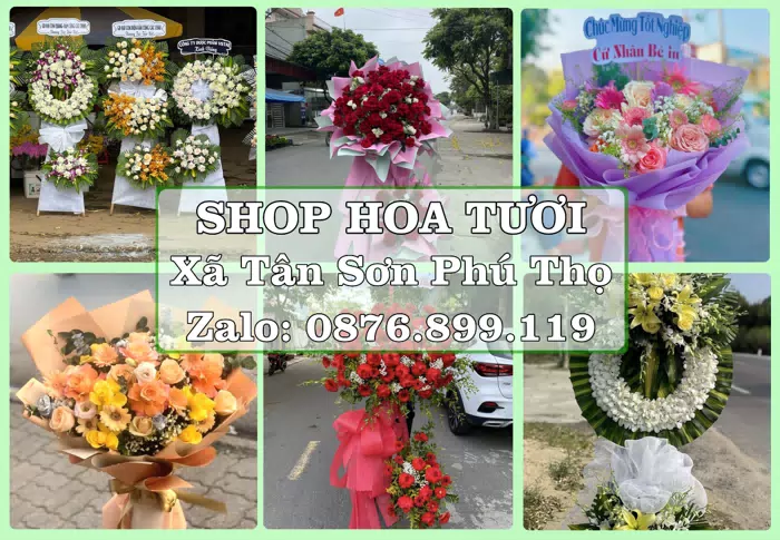 Shop hoa tươi tại Xã Tân Sơn Phú Thọ – Chuẩn bị hoa và quà cho dịp sắp tới · ảnh 1