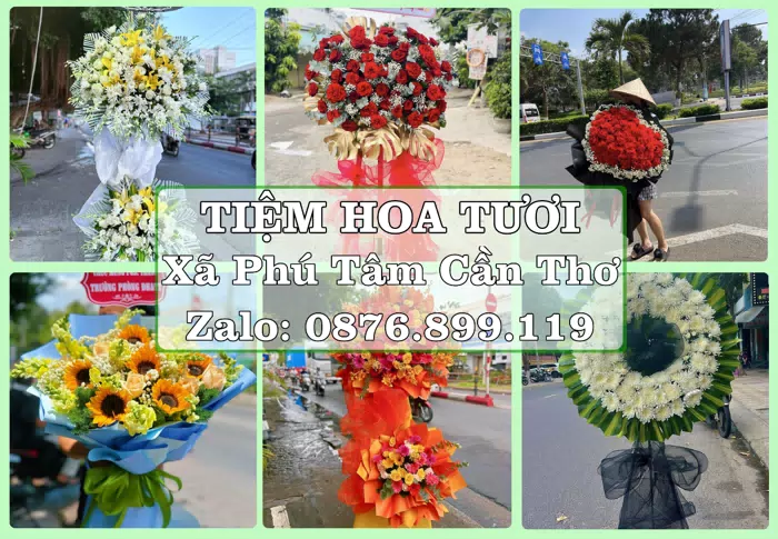 Shop hoa tươi tại Xã Phú Tâm Cần Thơ – Gửi lời quan tâm bằng hoa và trái cây · ảnh 1