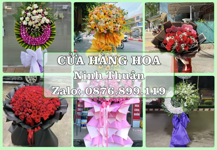 Shop hoa tươi tại Ninh Thuận – Tư vấn hoa và trái cây theo ngân sách · ảnh 1
