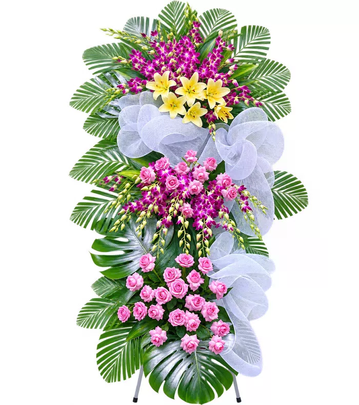 Thương Tiếc – kệ hoa phân ưu tím hồng trắng