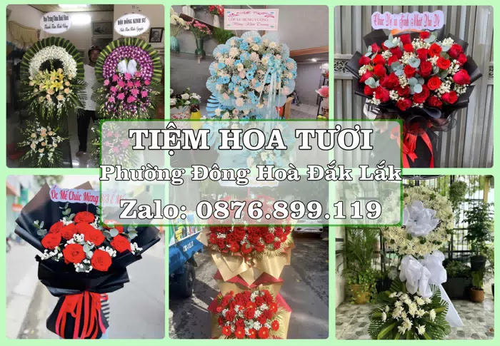 Shop hoa tươi tại Phường Đông Hoà Đắk Lắk – Tư vấn hoa và trái cây theo ngân sách · ảnh 1