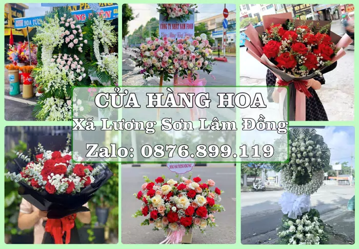 Shop hoa tươi tại Xã Lương Sơn Lâm Đồng – Tư vấn hoa và trái cây theo ngân sách · ảnh 1