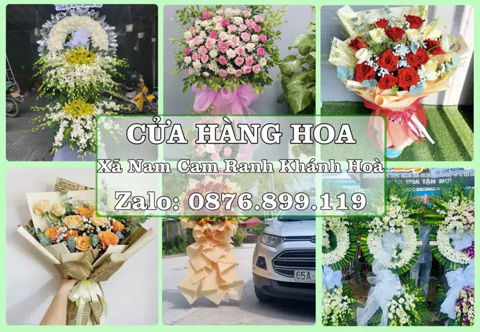 Shop hoa tươi tại Xã Nam Cam Ranh Khánh Hoà – Tư vấn hoa và trái cây theo ngân sách · ảnh 1