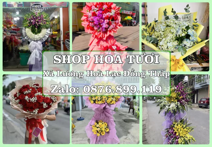 Shop hoa tươi tại Xã Lương Hoà Lạc Đồng Tháp – Hoa tươi và trái cây, dễ chọn theo từng dịp · ảnh 1