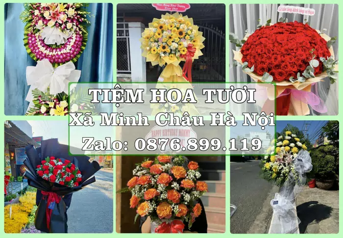Shop hoa tươi tại Xã Minh Châu Hà Nội – Hoa tươi và trái cây, dễ chọn theo từng dịp · ảnh 1