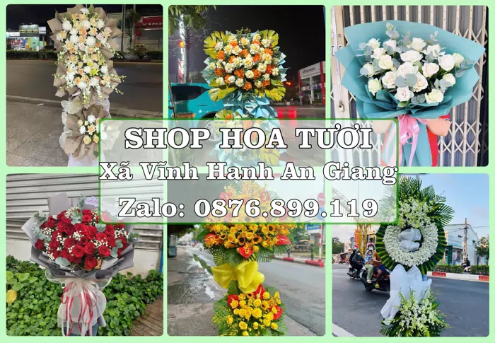 Shop hoa tươi tại Xã Vĩnh Hanh An Giang – Gửi lời quan tâm bằng hoa và trái cây · ảnh 1