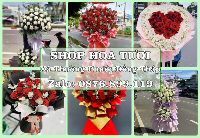 Shop hoa tươi tại Xã Thường Phước Đồng Tháp – Hoa chúc mừng, quà biếu theo nhu cầu · ảnh 1