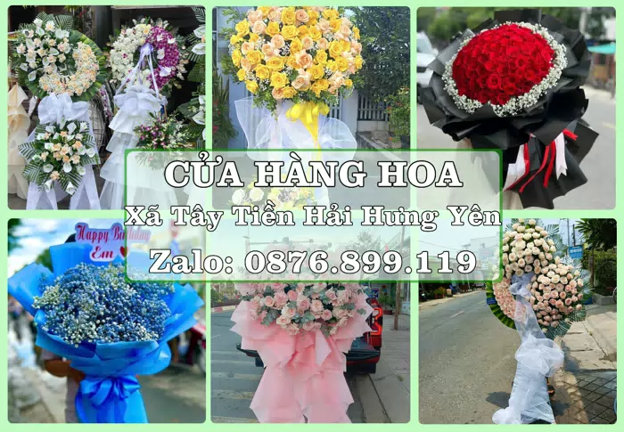 Shop hoa tươi tại Xã Tây Tiền Hải Hưng Yên – Tư vấn hoa và trái cây theo ngân sách · ảnh 1