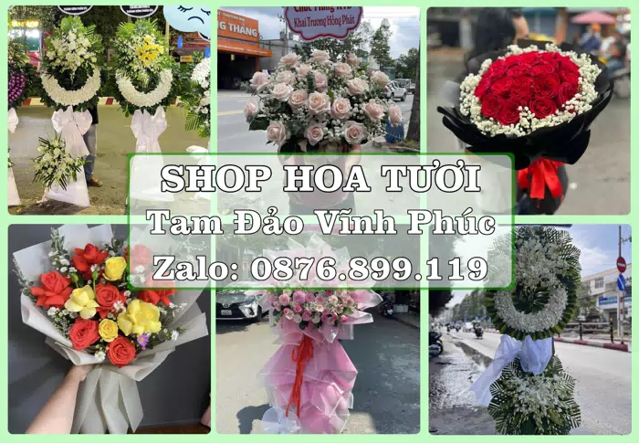 Shop hoa tươi tại Tam Đảo Vĩnh Phúc – Hoa xinh, trái cây cho những dịp gần gũi · ảnh 1
