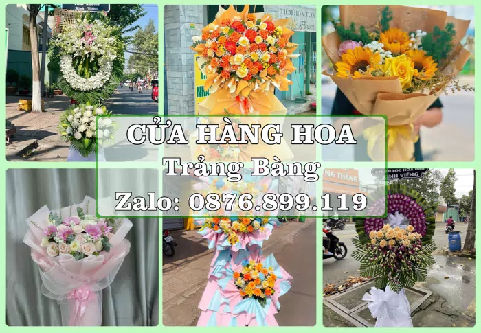 Shop hoa tươi tại Trảng Bàng – Tư vấn hoa và trái cây theo ngân sách · ảnh 1