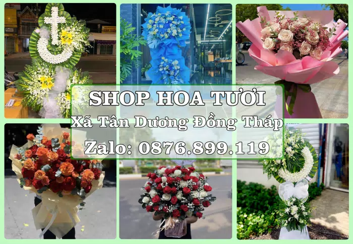 Shop hoa tươi tại Xã Tân Dương Đồng Tháp – Hoa chúc mừng, quà biếu theo nhu cầu · ảnh 1