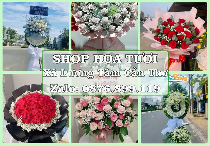 Shop hoa tươi tại Xã Lương Tâm Cần Thơ – Hoa chúc mừng, quà biếu theo nhu cầu · ảnh 1
