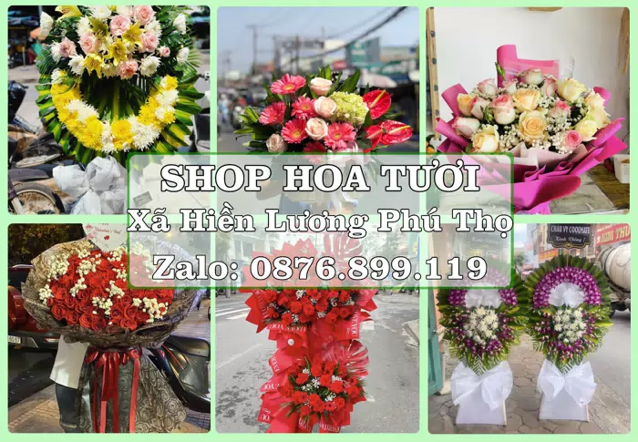 Shop hoa tươi tại Xã Hiền Lương Phú Thọ – Hoa xinh, trái cây cho những dịp gần gũi · ảnh 1
