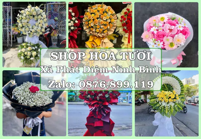 Shop hoa tươi tại Xã Phát Diệm Ninh Bình – Hoa tươi và trái cây, dễ chọn theo từng dịp · ảnh 1