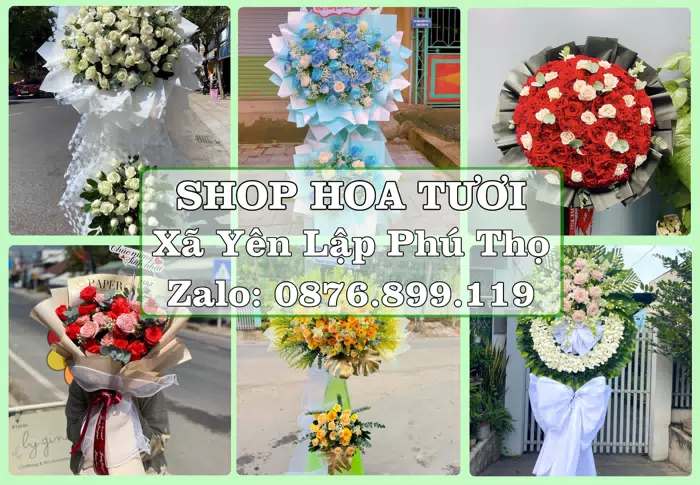 Shop hoa tươi tại Xã Yên Lập Phú Thọ – Gửi lời quan tâm bằng hoa và trái cây · ảnh 1