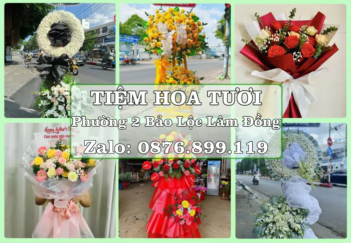Shop hoa tươi tại Phường 2 Bảo Lộc Lâm Đồng – Tư vấn hoa và trái cây theo ngân sách · ảnh 1