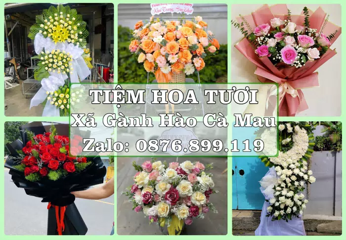 Shop hoa tươi tại Xã Gành Hào Cà Mau – Món quà chỉn chu từ những điều nhỏ · ảnh 1