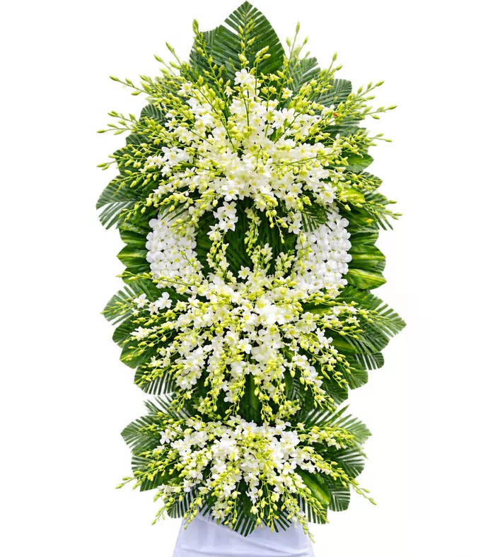 An Nhiên – kệ hoa phân ưu trắng xanh · 1205