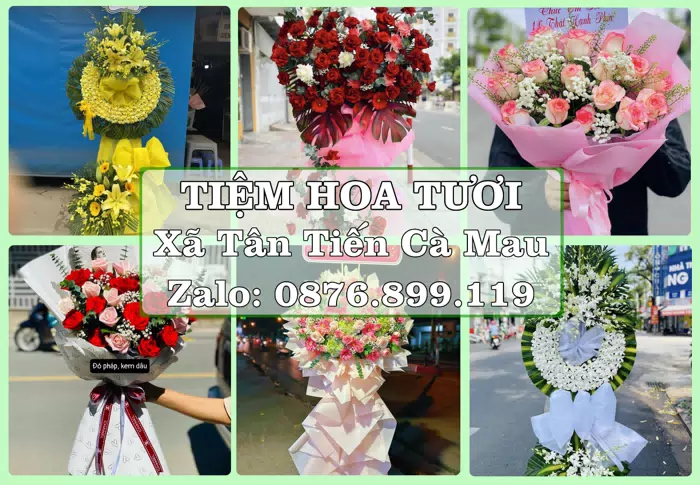 Shop hoa tươi tại Xã Tân Tiến Cà Mau – Tư vấn hoa và trái cây theo ngân sách · ảnh 1