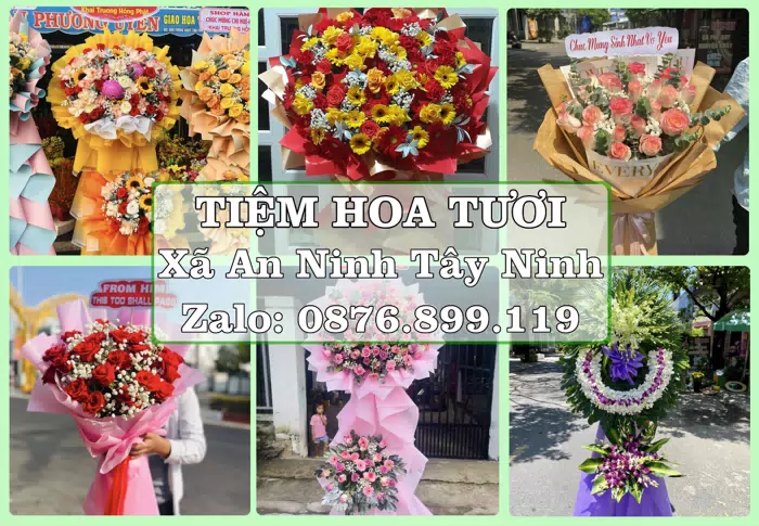 Shop hoa tươi tại Xã An Ninh Tây Ninh – Tư vấn hoa và trái cây theo ngân sách · ảnh 1