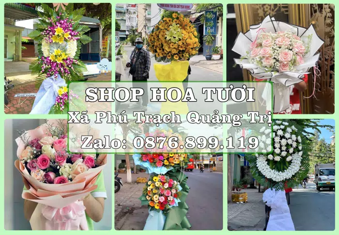 Shop hoa tươi tại Xã Phú Trạch Quảng Trị – Hoa xinh, trái cây cho những dịp gần gũi · ảnh 1