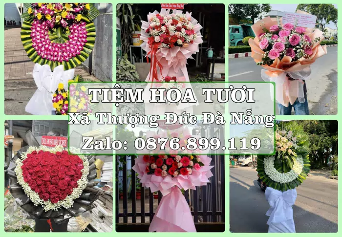 Shop hoa tươi tại Xã Thượng Đức Đà Nẵng – Tư vấn hoa và trái cây theo ngân sách · ảnh 1