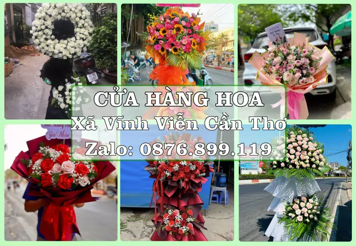 Shop hoa tươi tại Xã Vĩnh Viễn Cần Thơ – Hoa xinh, trái cây cho những dịp gần gũi · ảnh 1