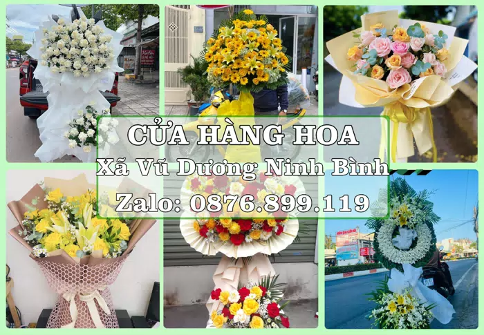 Shop hoa tươi tại Xã Vũ Dương Ninh Bình – Hoa chúc mừng, quà biếu theo nhu cầu · ảnh 1