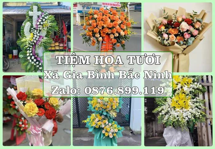 Shop hoa tươi tại Xã Gia Bình Bắc Ninh – Hoa chúc mừng, quà biếu theo nhu cầu · ảnh 1