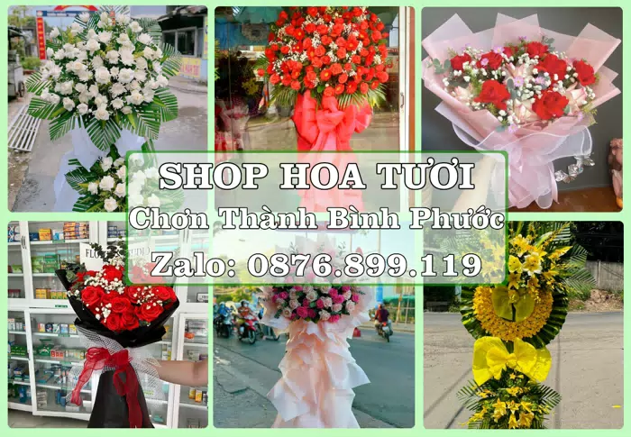 Shop hoa tươi tại Chơn Thành Bình Phước – Tư vấn hoa và trái cây theo ngân sách · ảnh 1