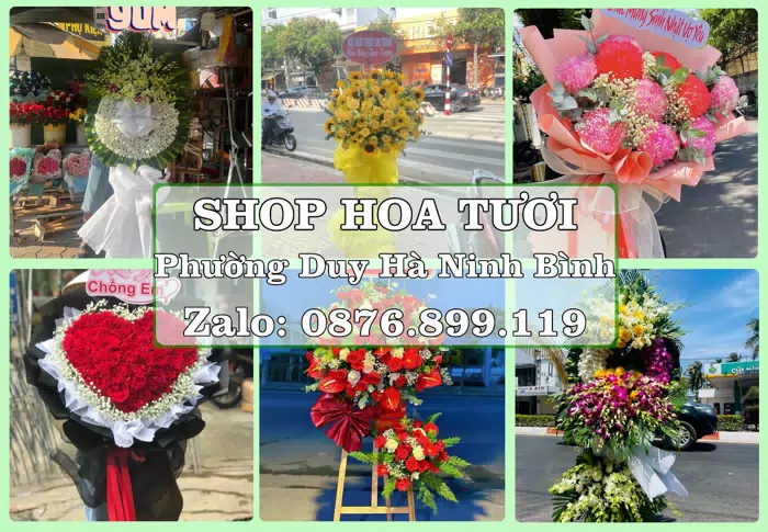 Shop hoa tươi tại Phường Duy Hà Ninh Bình – Hoa xinh, trái cây cho những dịp gần gũi · ảnh 1