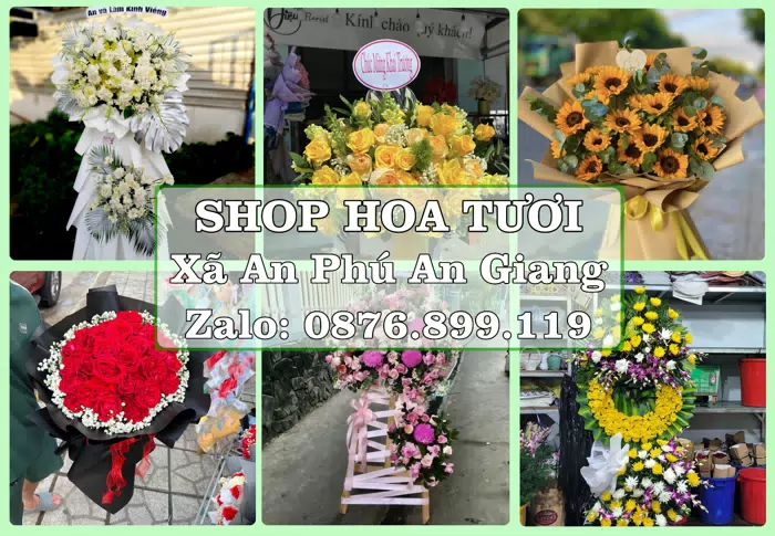 Shop hoa tươi tại Xã An Phú An Giang – Tư vấn hoa và trái cây theo ngân sách · ảnh 1