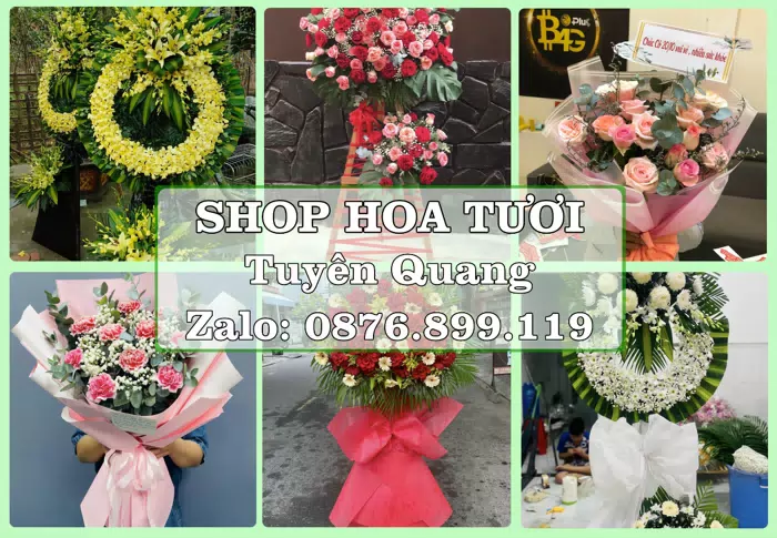 Shop hoa tươi tại Tuyên Quang – Hoa chúc mừng, quà biếu theo nhu cầu · ảnh 1