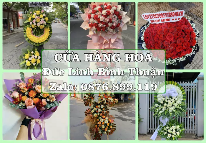 Shop hoa tươi tại Đức Linh Bình Thuận – Một món quà vừa ý cho ngày đáng nhớ · ảnh 1