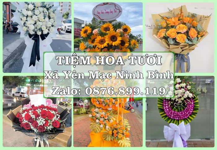 Shop hoa tươi tại Xã Yên Mạc Ninh Bình – Tư vấn hoa và trái cây theo ngân sách · ảnh 1