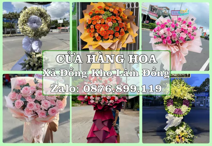Shop hoa tươi tại Xã Đồng Kho Lâm Đồng – Tư vấn hoa và trái cây theo ngân sách · ảnh 1