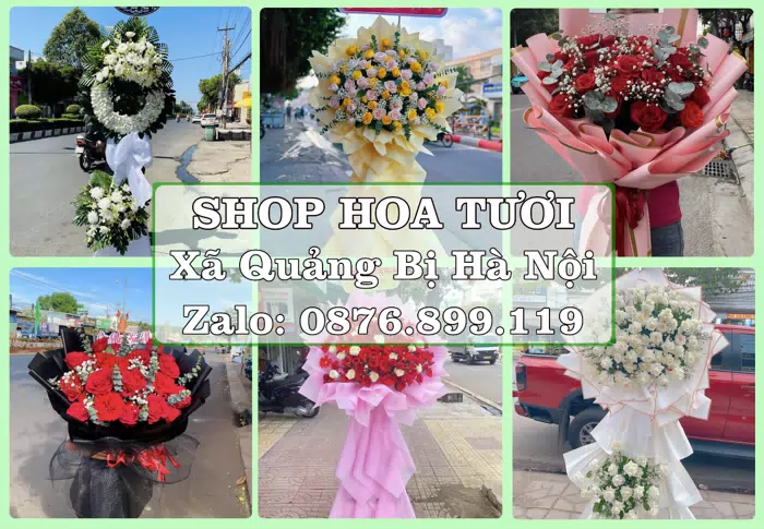 Shop hoa tươi tại Xã Quảng Bị Hà Nội – Hoa tươi và trái cây, dễ chọn theo từng dịp · ảnh 1