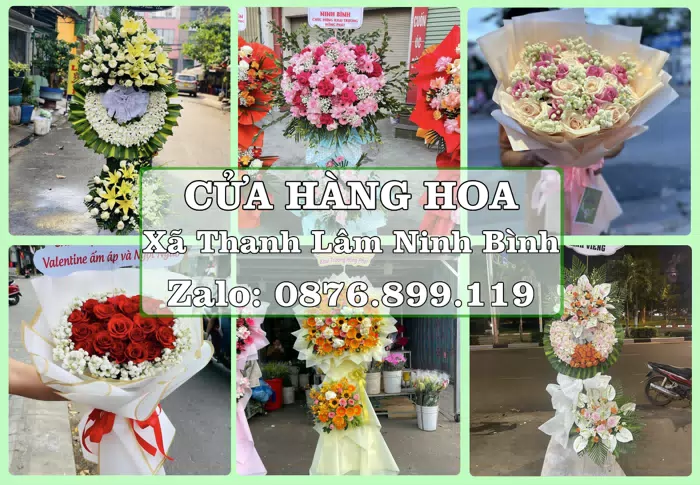 Shop hoa tươi tại Xã Thanh Lâm Ninh Bình – Hoa xinh, trái cây cho những dịp gần gũi · ảnh 1