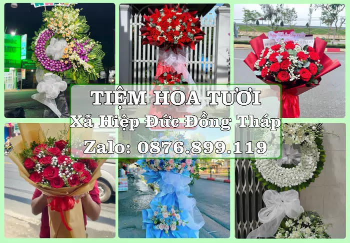Shop hoa tươi tại Xã Hiệp Đức Đồng Tháp – Tư vấn hoa và trái cây theo ngân sách · ảnh 1
