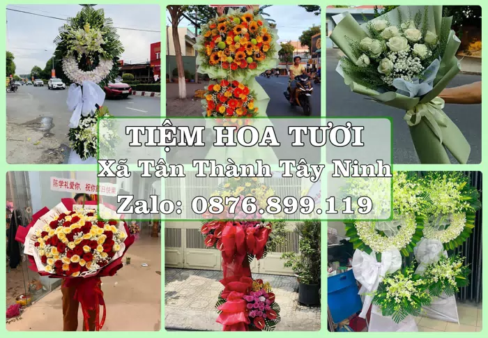 Shop hoa tươi tại Xã Tân Thành Tây Ninh – Chọn hoa, chọn giỏ quà thật chu đáo · ảnh 1