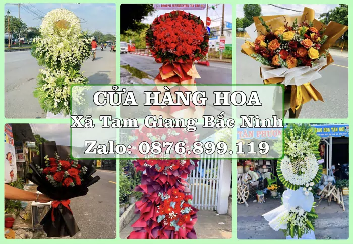 Shop hoa tươi tại Xã Tam Giang Bắc Ninh – Từ bó hoa tặng đến giỏ trái cây biếu · ảnh 1