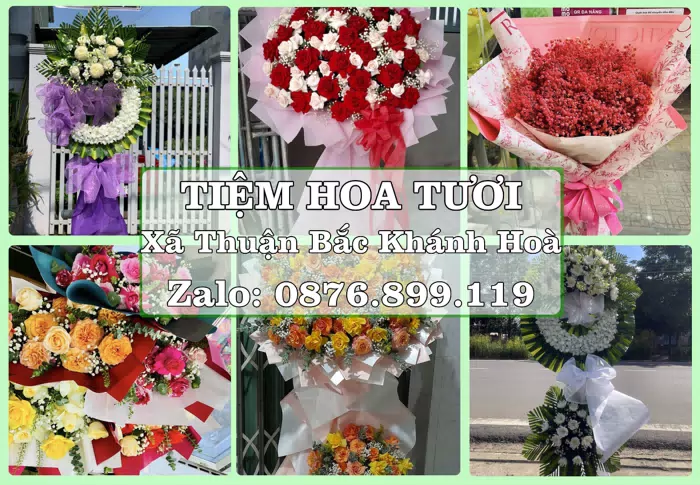 Shop hoa tươi tại Xã Thuận Bắc Khánh Hoà – Chọn hoa, chọn giỏ quà thật chu đáo · ảnh 1