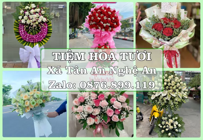 Shop hoa tươi tại Xã Tân An Nghệ An – Từ bó hoa tặng đến giỏ trái cây biếu · ảnh 1
