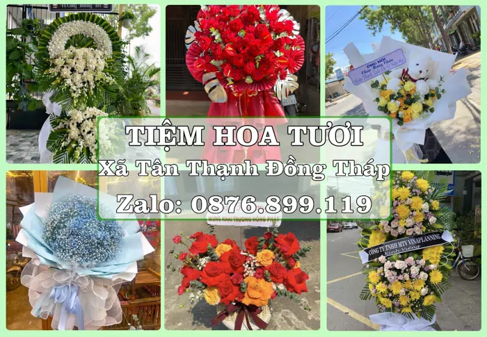 Shop hoa tươi tại Xã Tân Thạnh Đồng Tháp – Tư vấn hoa và trái cây theo ngân sách · ảnh 1