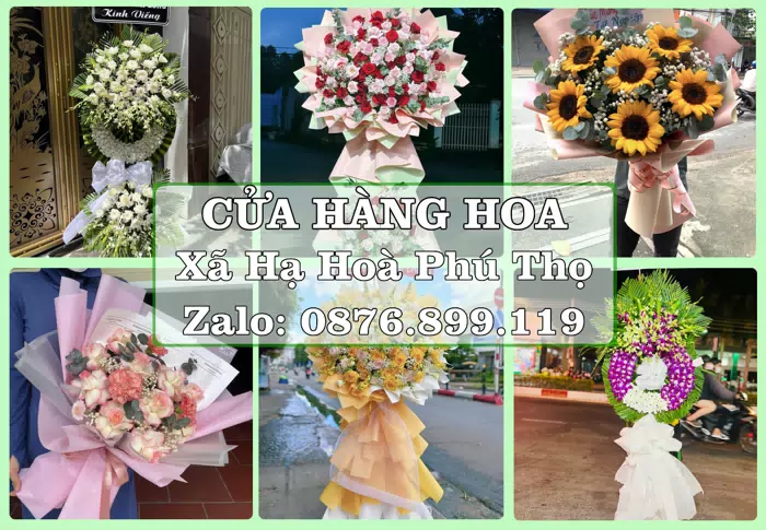 Shop hoa tươi tại Xã Hạ Hoà Phú Thọ – Hoa chúc mừng, quà biếu theo nhu cầu · ảnh 1