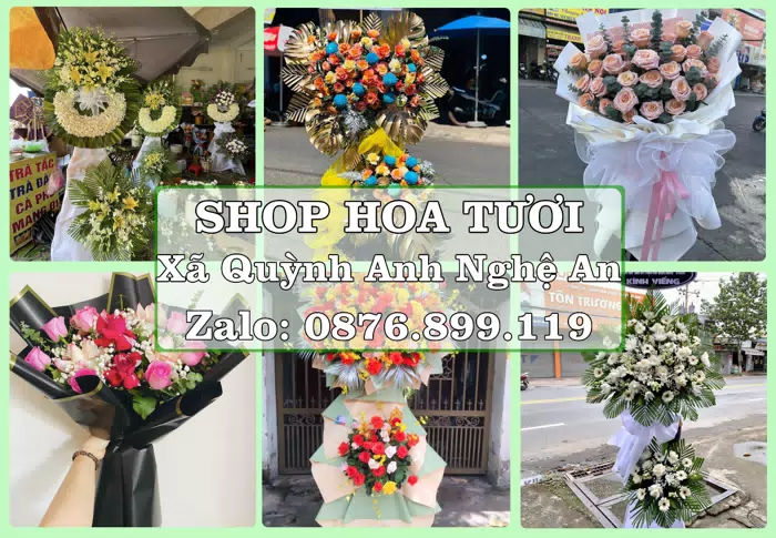 Shop hoa tươi tại Xã Quỳnh Anh Nghệ An – Chọn hoa, chọn giỏ quà thật chu đáo · ảnh 1