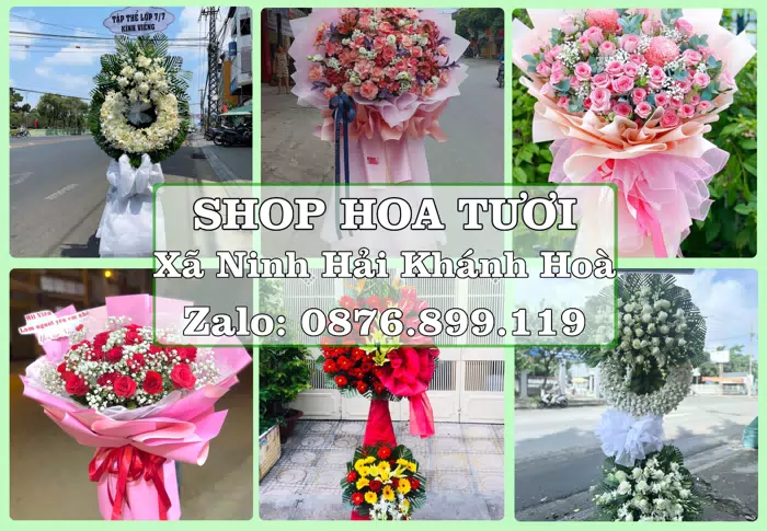Shop hoa tươi tại Xã Ninh Hải Khánh Hoà – Hoa tươi và trái cây, dễ chọn theo từng dịp · ảnh 1